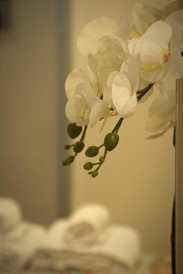 Apartamento Paula Valladolid Esterno foto