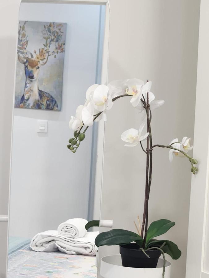 Apartamento Paula Valladolid Esterno foto
